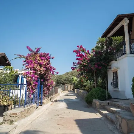 Charming House With Amazing Sea View In Gumusluk, Bodrum Vila Gumusluk