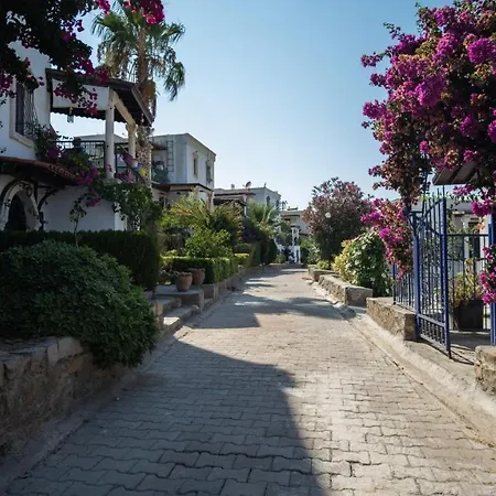 Charming House With Amazing Sea View In Gumusluk, Bodrum Villa Gümüşlük